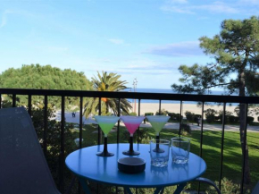 Charmant 2 Pièces à Argelès-sur-Mer Proche Mer - FR-1-225-696